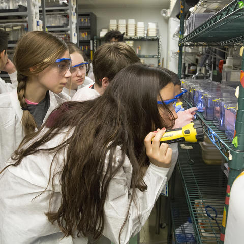 Students with zebrafish